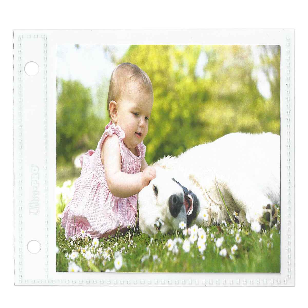 ultra-pro-2-hole-assorted-photo-pages-20ct-f-r-2-x-2-4-x-4-prints-foto-h-llen image 2