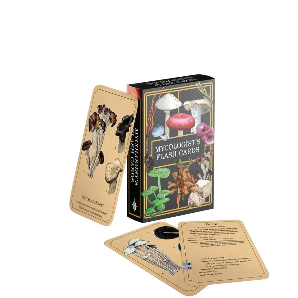 ultimate-guard-zipfolio-360-xenoskin-magic-the-gathering-lorwyn-eclipsed-plains image 1