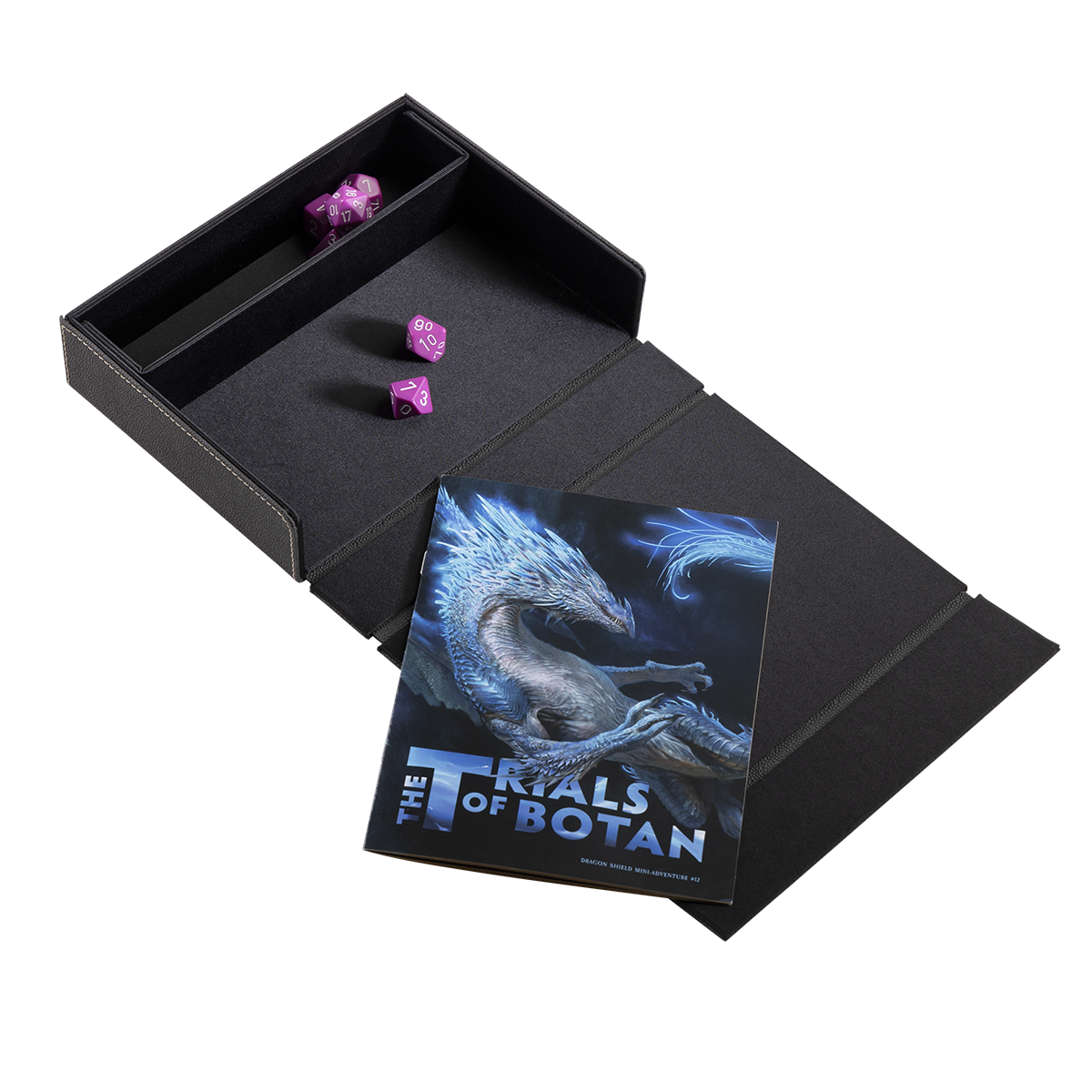 dragon-shield-dice-companion-w-rfelbox-eisengrau image 4